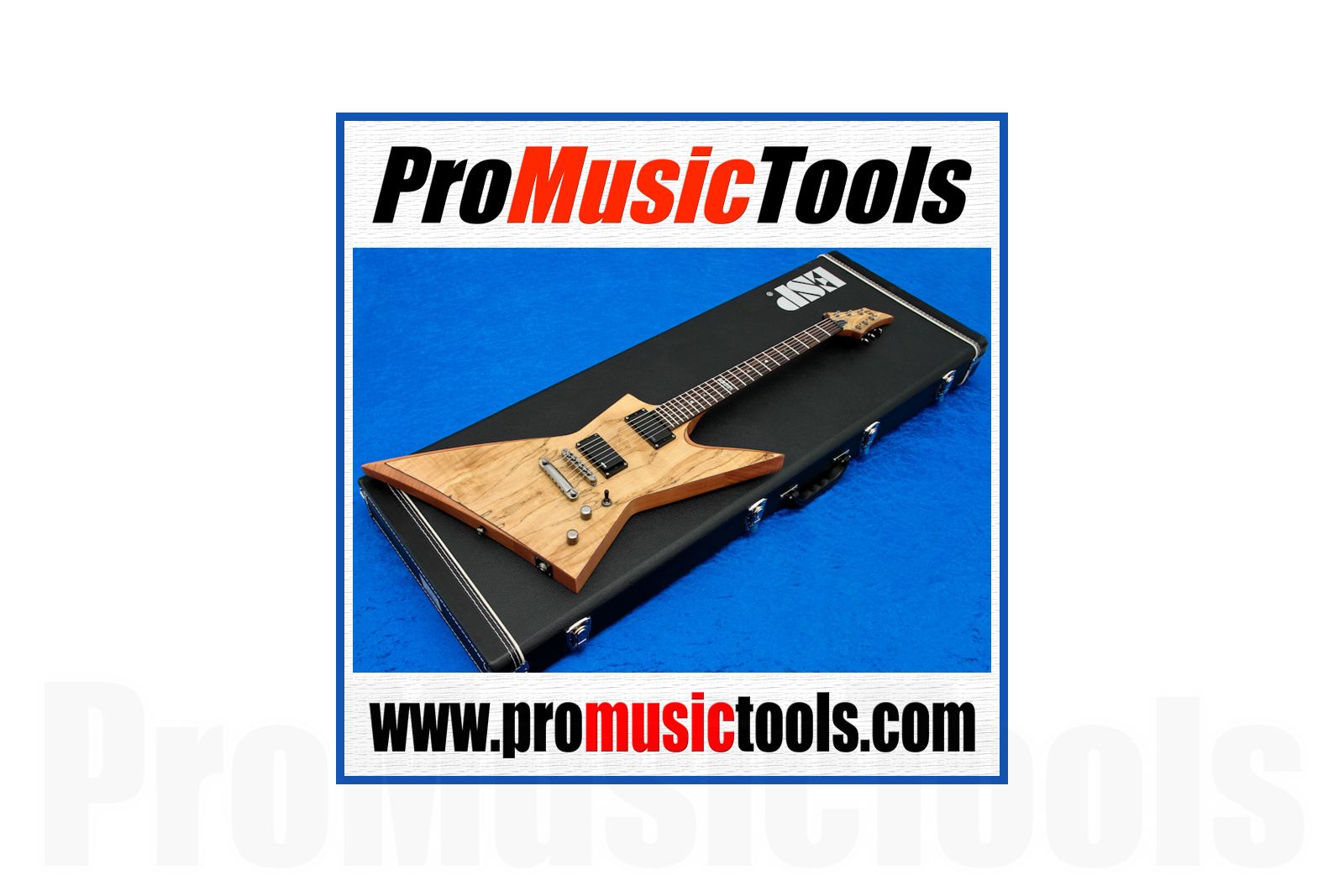 ESP Ltd FX-360SM NS | ProMusicTools
