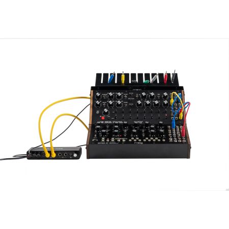 Moog Sound Studio Semi Modular Bundle: Mother-32 & DFAM