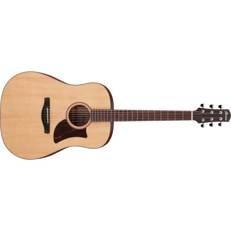 Ibanez AAD100 OPN Advanced Acoustic - Open Pore Natural
