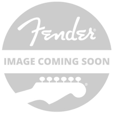 Fender 250K Control Pan Alpha – 3/8