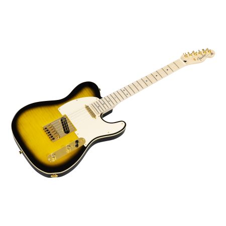 Fender Richie Kotzen Telecaster MN - Brown Sunburst